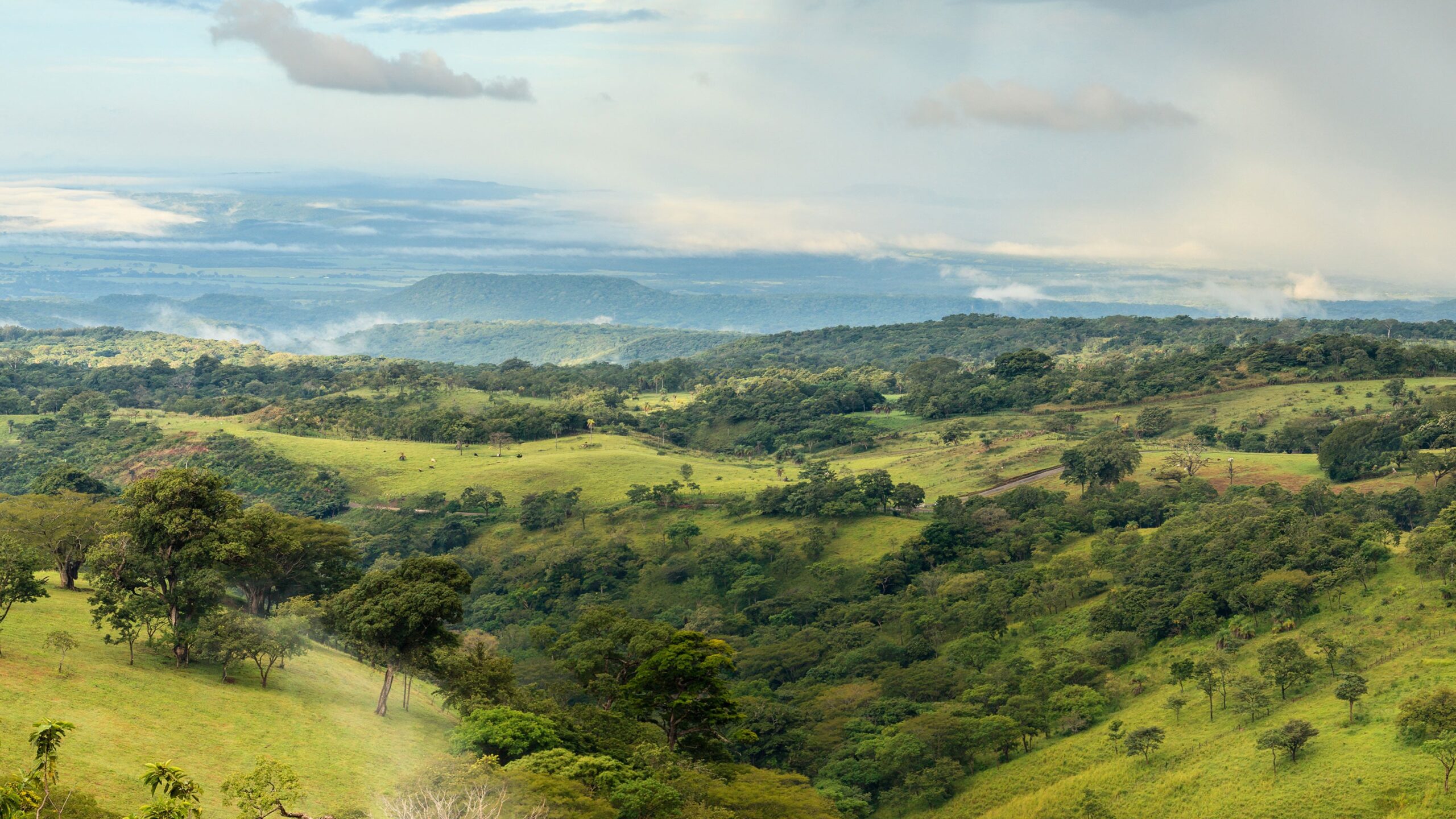 Landschaft einer Savanne in Afrika, in der wir auch Projekte zum Umweltschutz unterst&uuml;tzen